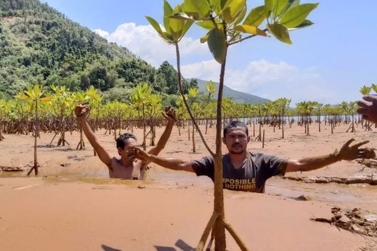 Di Halmahera Timur, Provinsi Maluku Utara, pertambangan menyebabkan pencemaran lingkungan.