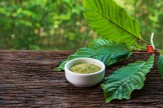 Manfaat dan Efek Kratom, Pohon Asal Kalimantan yang Akan Dilarang BNN