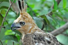 Prakiraan Cuaca BMKG: Hujan Sedang Guyur Jakarta Rabu Siang 3 Desember 2025