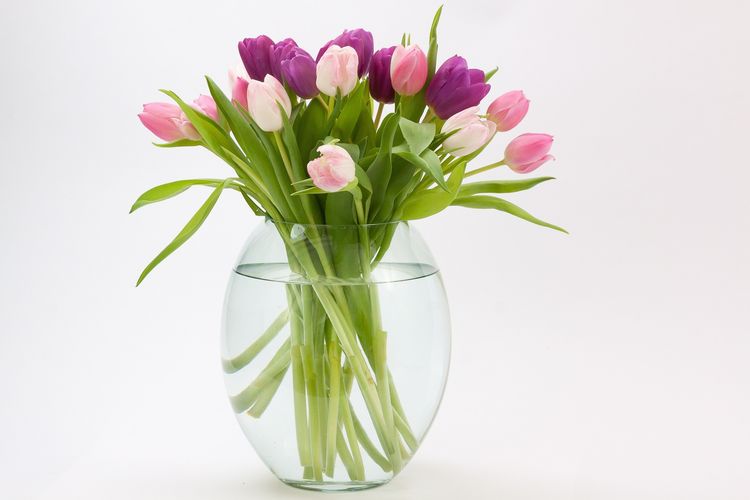 Ilustrasi vas bunga kaca. 