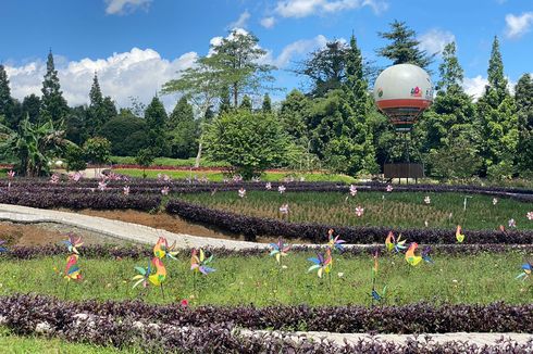 Bogor Fruit Garden, Bisa Belajar Cocok Tanam hingga Bertemu Satwa