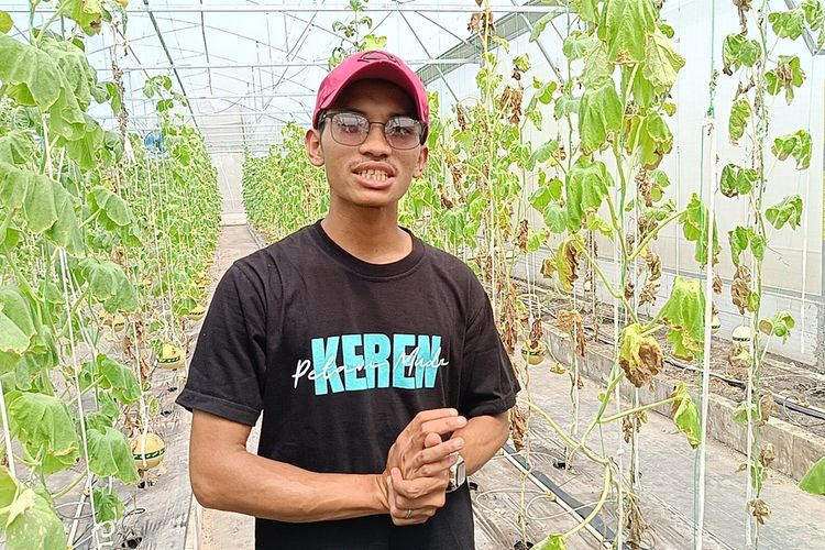 Cerita Petani Melon Blora Jadi Duta Petani Muda Kementan