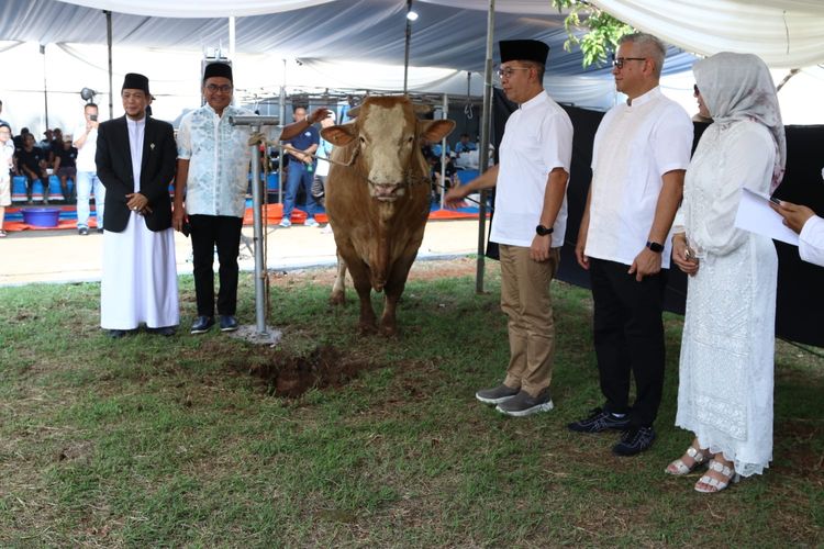 Mandiri bersama Laznas Mandiri Amal Insani (MAI) kembali membagikan daging kurban secara serentak kepada masyarakat dhuafa di seluruh Indonesia.