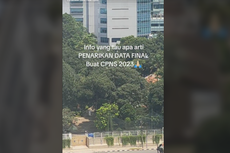 Apa yang Dimaksud dengan Penarikan Data Final pada Seleksi CPNS dan PPPK 2023?