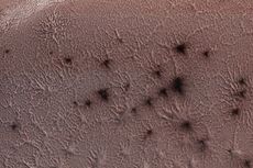 2 Dekade Jadi Misteri, Teka-teki Laba-laba di Mars Terpecahkan