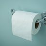 Tisu Toilet Bisa Bikin Saluran Mampet?
