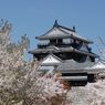 Jangan Ketinggalan, Ini Jadwal Bunga Sakura Mekar di Jepang Tahun 2020