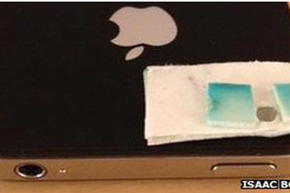 Dengan lensa tambahan iPhone diubah menjadi mikroskop.