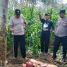 Pencurian Daging Kerbau dengan Modus Sembelih di Tempat Kembali Terjadi di Lumajang