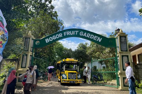 Tempat Bermain Sekaligus Belajar, Pengunjung Antusias Kunjungi Bogor Fruit Garden