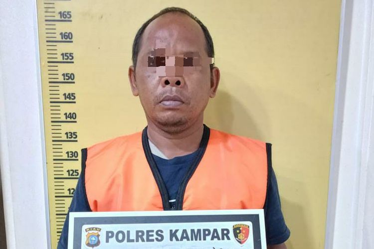 Pelaku illegal logging, KU (48) saat diamankan di Polres Kampar, Riau, Sabtu (25/11/2023).