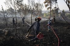 Kebakaran Besar Landa Yunani, Separuh Pulau Hangus Dilalap Api