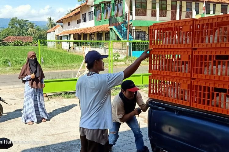 Rendahnya harga membuat para peternak menjual langsung ayam siap potong ke masyarakat.