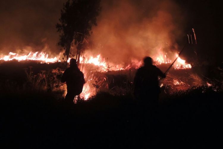 Petugas TNGR dan masyarakat berupaya memadamkan api di jalur pendakian Rinjani, Selasa (22/8/2017)