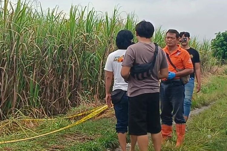 Perempuan Muda Tewas Penuh Luka di Kebun Tebu Brebes, Polisi Selidiki Identitas Pria Misterius