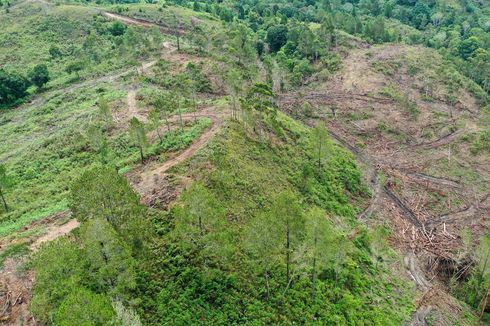 BMKG Deteksi 2 Titik Panas di Sumatera Utara