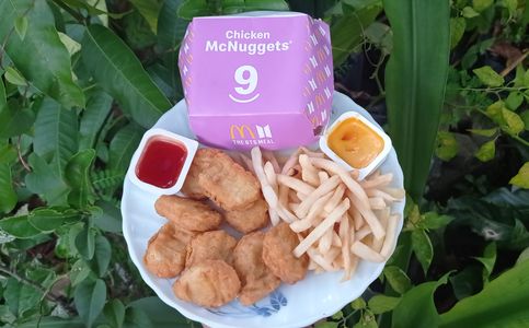  Indonesian McDonald’s Outlets Sanctioned After Runaway Demand For BTS Meals 