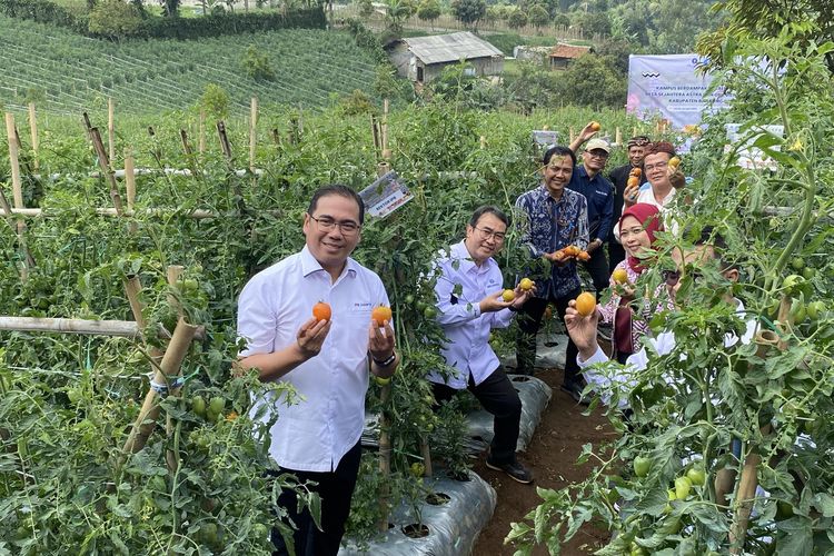 Perkuat Produksi dan Manajemen Pascapanen, IPB Dampingi Petani Bandung Barat Garap Hortikultura