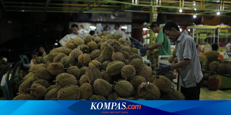 Catat 10 Tempat Wisata Durian Petik Dan Makan Sepuasnya Halaman All Kompas Com