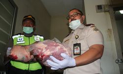 Daging Celeng Ilegal Ditahan Karantina Cilegon