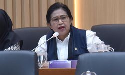 Kandungan Pestisida Anggur Shine Muscat Tinggi, Anggota Komisi IX Minta BPOM Ambil Langkah