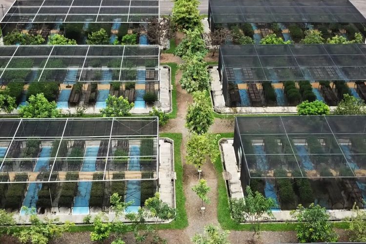 Adaro Dorong Praktik Pertambangan Berkelanjutan dan Inovasi Sosial