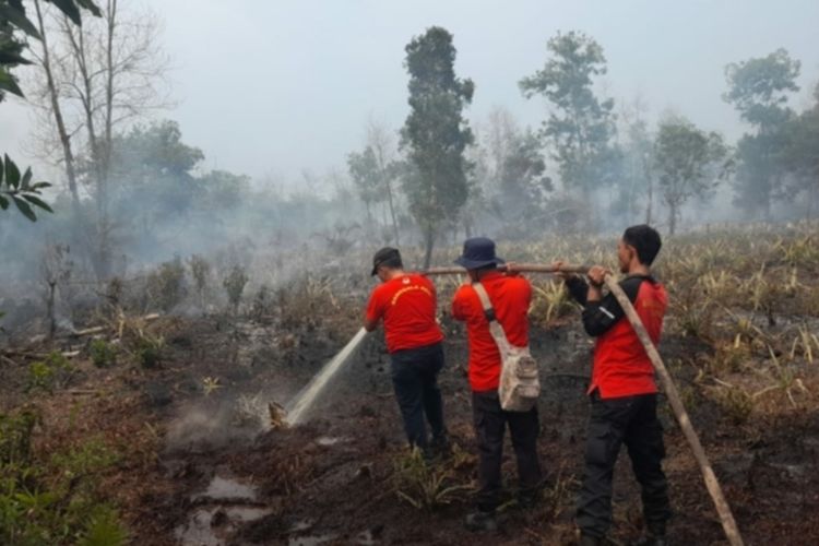 Petugas Manggala Agni Dumai melakukan pemadaman karhutla di Kelurahan Teluk Makmur, Kecamatan Medang Kampai, Dumai, Riau, Rabu (12/4/2023).