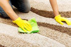 Cara Membersihkan Karpet dari Noda Minyak dan Lemak
