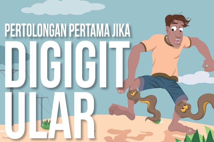 Pertolongan Pertama Jika Digigit Ular