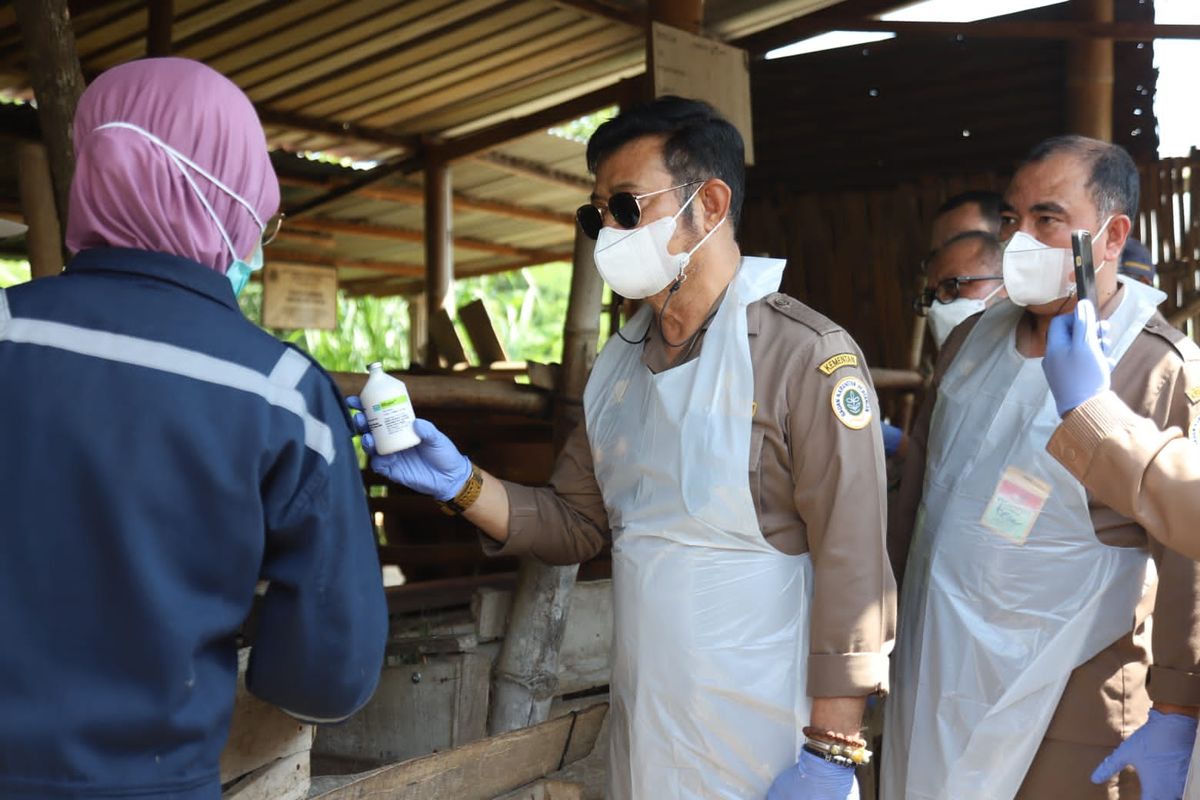 Menteri Pertanian (Mentan) Syahrul Yasin Limpo (SYL) menggelar vaksinasi perdana dan apel siaga penyakit mulut dan kuku (PMK) di Jawa Tengah (Jateng), Sabtu (18/6/2022).