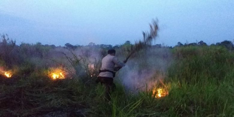 Pemadaman kebakaran lahan gambut dilakukan oleh personil polisi yang dipimpin langsung oleh Kapolres Muaro Jambi AKBP Ardiyanto bersama-sama dengan Kades dan aparatur  Desa Pulau Mentaro, pada Senin (23/2/2021) sore. 