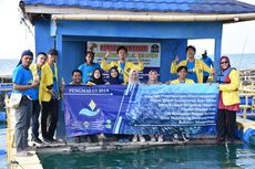 Jaga Kesegaran Ikan, Tim Pengmas FMIPA UI Kembangkan Minatransporter