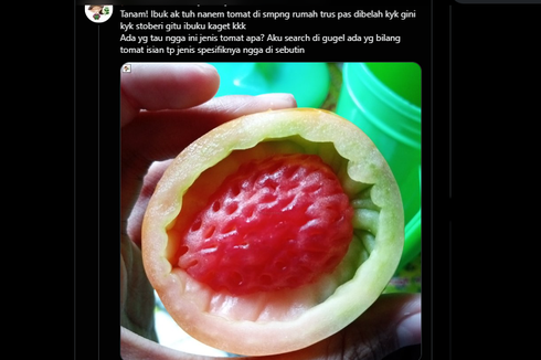 Viral, Foto Buah Stroberi di Dalam Tomat, Bagaimana Bisa Terjadi?
