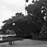 Taman Ria Senayan yang Kini Tinggal Kenangan