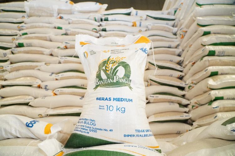 Bantuan Beras 30 Kg Gunakan DTSEN Terbaru, Disalurkan Mulai 17 Agustus