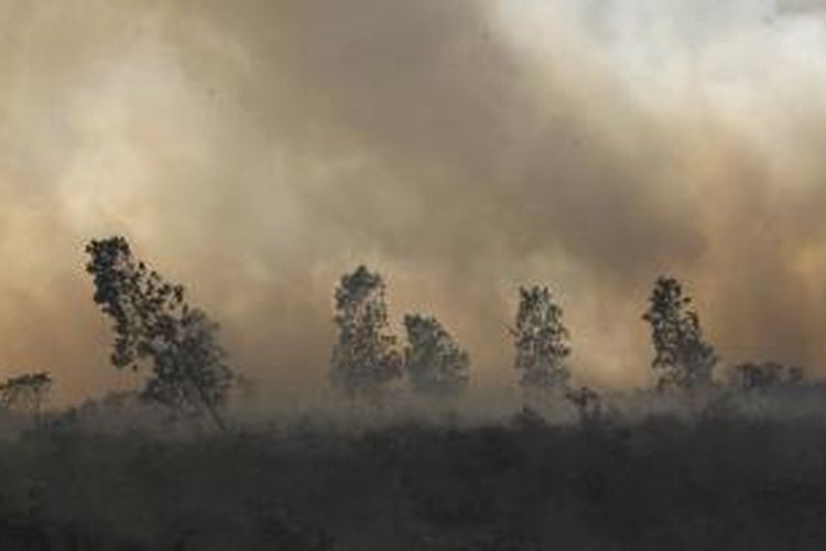 Asap pekat dari kebakaran lahan gambut di Plintung, Medan Kampai, Dumai, Riau, Selasa (18/3). Titik api di Plintung masih banyak dan kabut asap juga masih tebal. Pemadaman dilakukan melalui darat dan bom air dari helikopter. KOMPAS/LUCKY PRANSISKA