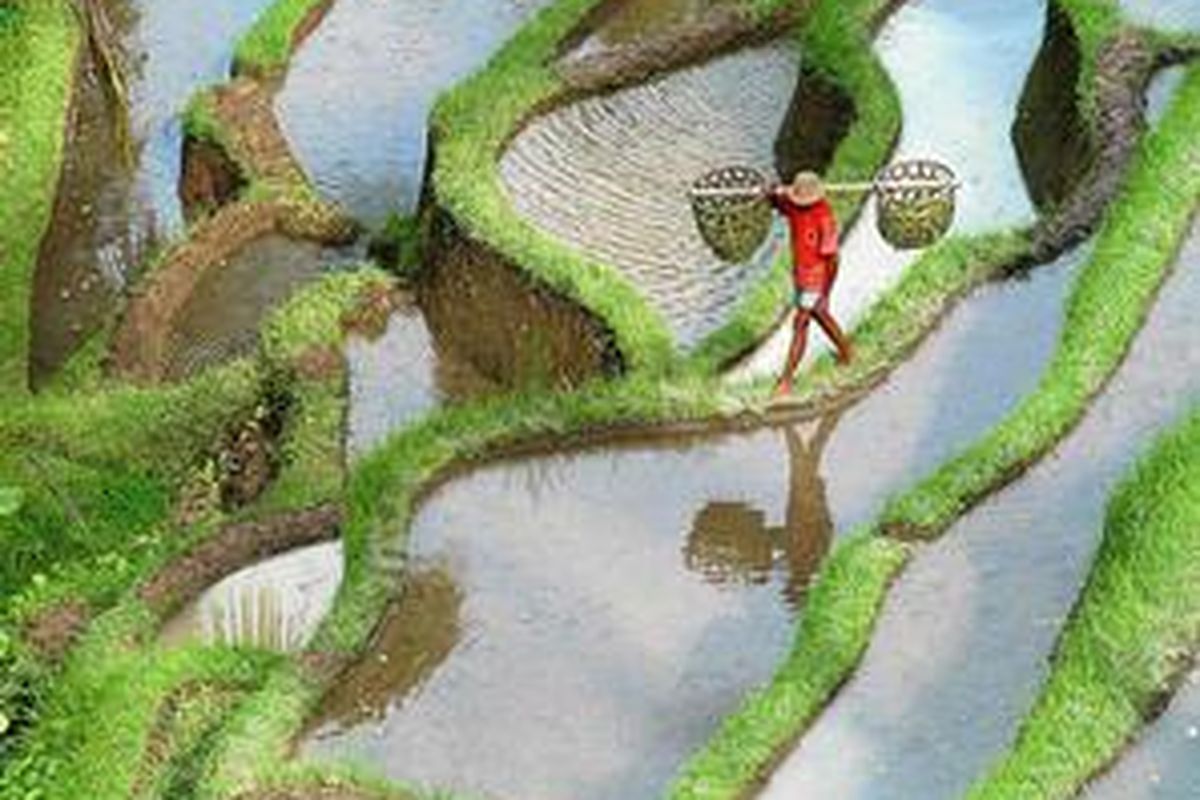 Petani di Ubud