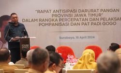 Antisipasi Darurat Pangan, Kementan Percepat Realisasi Pompanisasi dan PAT Padi Gogo