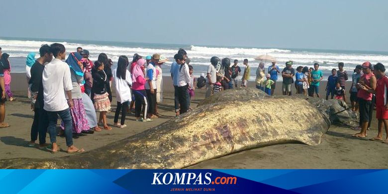 15 Juli 2016 Laman 2 Destian Aldi Yusti