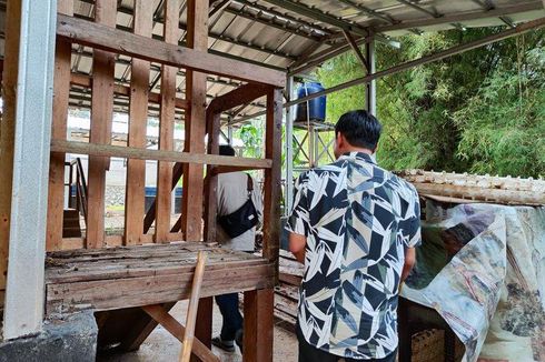 Kala Tiga Domba Hilang Misterius di Depok dan Tersisa Jeroannya Saja...