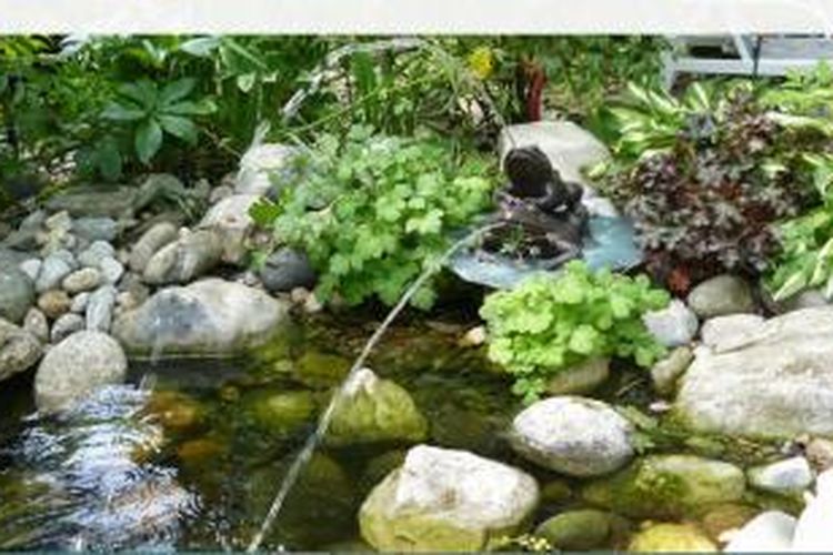 Jangan lupa lengkapi kolam dengan pompa dan filter agar air tetap bersih. Bisa juga tambahkan dengan tanaman. Tanaman juga mampu menjaga kebersihan dan kejernihan air.