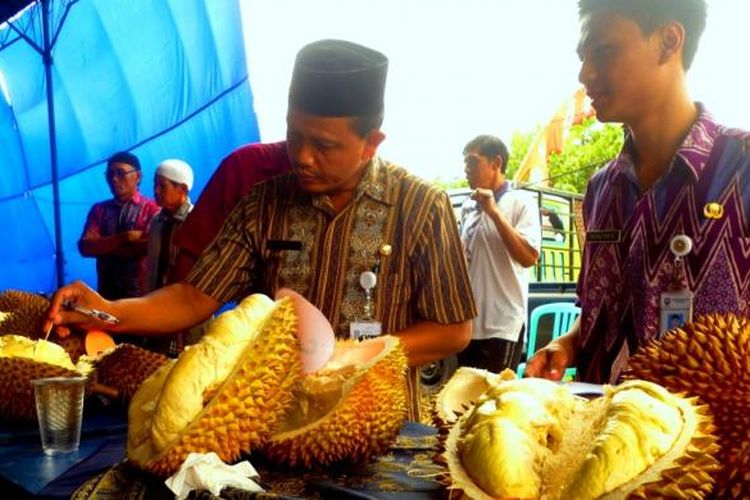 Kades Brongkol, Heru Sandhora (berpeci) tengah menilai durian peserta Lomba Durian Desa Brongkol,  di Kecamatan Jambu, Kabupaten Semarang, Jawa Tengah, Selasa (1/3/2016) siang.