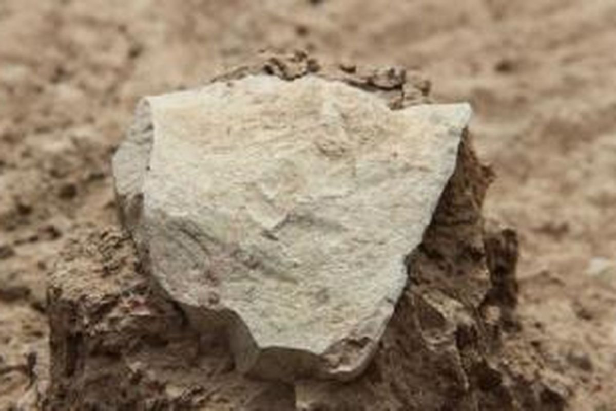 Alat-alat yang ditemukan mencakup berbagai serpihan batu tajam dari bongkahan batu yang lebih besar, yang kemungkinan besar digunakan untuk memotong. 