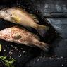 Komnas Kajiskan: Penangkapan Ikan Kerapu Sudah Berlebihan