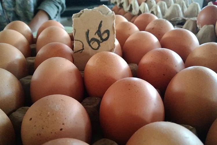 Harga telur ayam yang dijual di pasar tradisional Wameo Kota Baubau, Sulawesi Tenggara, melonjak naik.