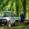 Indonesia dan Malaysia Akan Bahas UU Deforestasi dengan Uni Eropa, Ini Targetnya