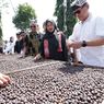 Perkebunan Kopi Rakyat di Banyuwangi Capai 9.778 Hektar, Pemasaran Perlu Ditingkatkan
