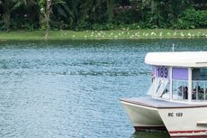 5 Tips Mengunjungi Wahana River Safari Singapura