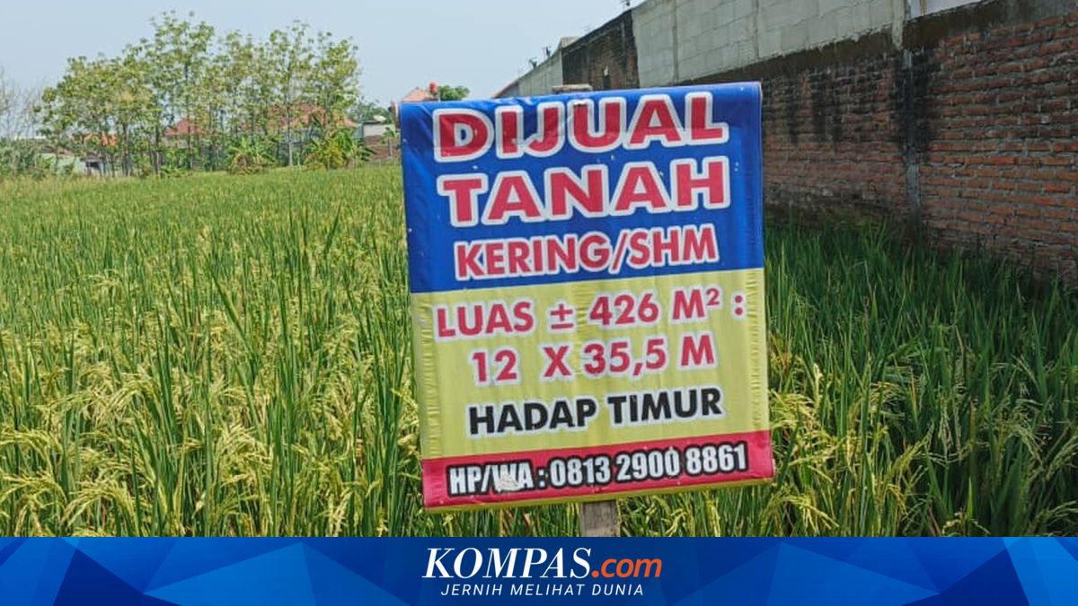 Cuma Bayar Rp 50.000, Ini Manfaat Besar Pengecekan Sertifikat Tanah