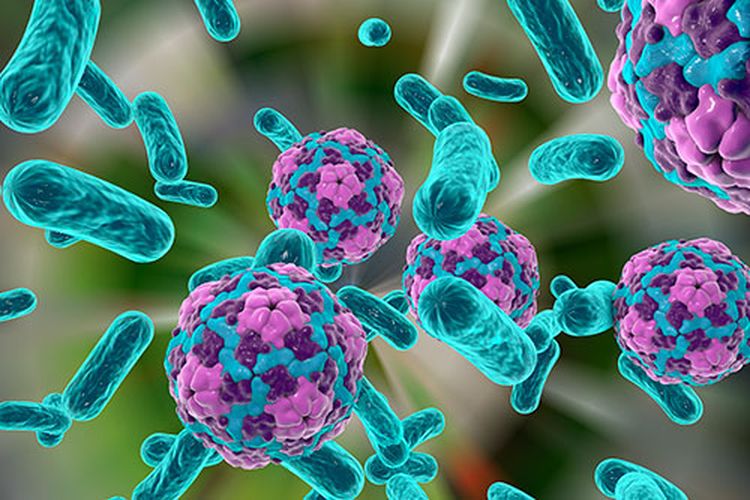 Tanda-tanda Hepatitis A yang Jarang Disadari, Bisa Dilihat dari Urine dan Tinja